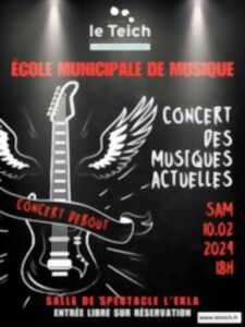 photo Concert Musiques Actuelles