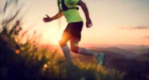 photo Trail des Châtaigniers