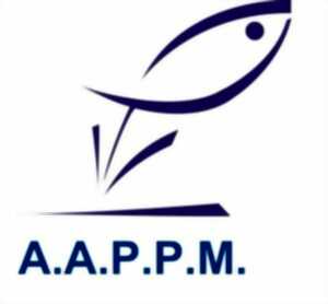 photo Animation printemps 