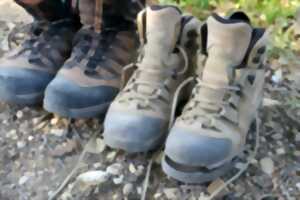 photo Berjou, été 44: visite guidée du champ de bataille