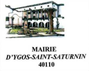 photo Traditionnelle anguillade du stade ygossais