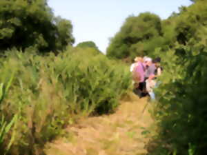 photo Cherchons la p'tite bête dans le Marais de Chavannes