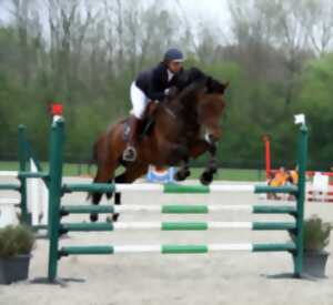 photo Concours de saut d'obstacles jeunes chevaux