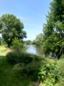 photo Marche gourmande à Crézançay-sur-Cher