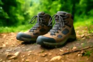 photo Randonnée pédestre et vtt