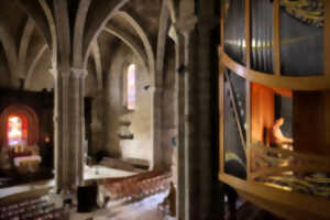photo Festival de Rocamadour - Moment d'orgue - Nicola Procaccini