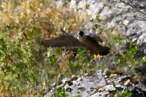 photo Tous à la ferme !