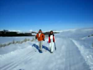 photo Sortie randonnée raquette à Malbo