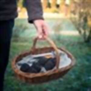 Déambulation gourmande autour de la truffe : Domaine du Monribot