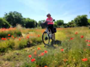 photo La Vellilocienne - Promenade à vélo