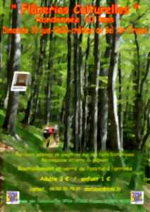 photo Run mam fée isaline