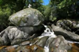 Balade nature aux cascades du Doustre