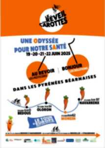 photo Le réveil de la carotte