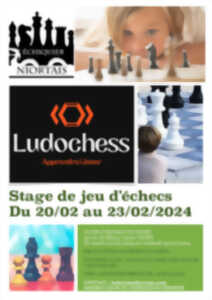 Stage jeux d'échecs à Niort