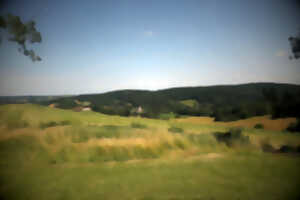 photo ATELIER APERO-HISTOIRE