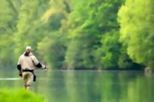 Concours de Pêche au coup