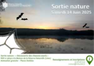 Nuit internationale de la chauve-souris