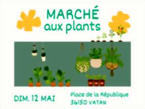 photo Marché aux plants