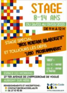 Stage créatif spécial impression 3D