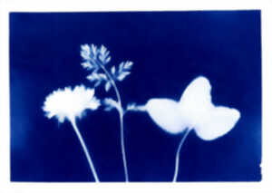 photo Atelier en famille Mondes flottants