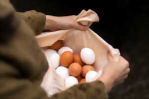 photo Chasse aux oeufs pour les grands