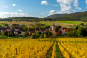 photo Randonnée dans les vignes de Wissembourg