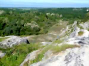 photo Sortie nature : Les amphibiens de la Réserve naturelle