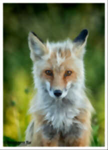 photo Soirée photos de l'Association Arts et Création Corrèze