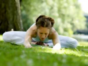 photo La collection Wentzel dévoilée