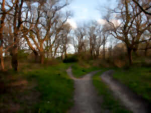 photo Chemin d'étang, raconte-nous la Brenne