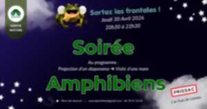 Soirée amphibiens