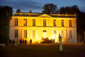 photo Pierres en lumières au château de Canon