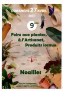9è Foire aux plantes, à l'artisanat et produits locaux