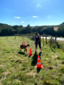 Visite active et pédagogique de la ferme Equi'libre