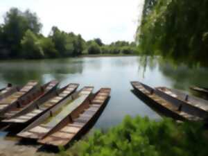 photo Sortie dans le delta de la Sauer