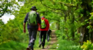 photo Randonnée du POC : Sur les traces du Tacot 