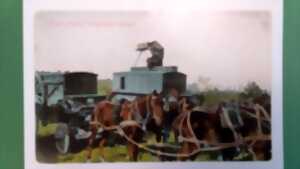 photo Exposition : Comment un livre vient au monde ?