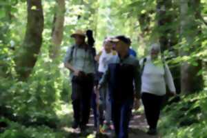 photo Balade nocturne aux Saligues de Prentigarde