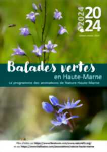 BALADE VERTE : BILLEBAUDE DANS LES FORETS DE FAYL-BILLOT ET BUSSIERES-LES-BELMONT