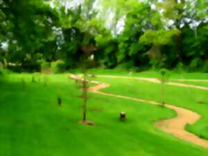 Arboretum du Lys : Exposition - Echec, pat et facéties -