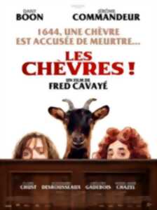 Cinéma Arudy : Sur un fil