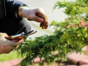 photo Chantier nature