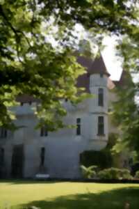 photo Escape game au château