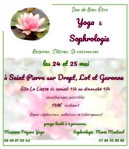photo Stage Duo bien-être Yoga et Sophrologie