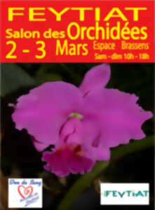 photo Salon des Orchidées