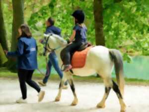 photo Fête du poney