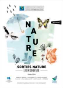 Sortie nature - Balade botanique
