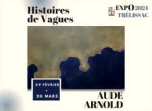 Exposition Histoires de vagues - Carte blanche à Aude Arnold