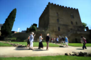 Visite guidée Mont de Marsan d'hier à aujourd'hui