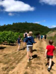 RENDEZ-VOUS AU PAYS - BALADE DES SAVEURS : « LES SECRETS DU VIN ; ENTRE LÉGENDES ET HISTOIRES »